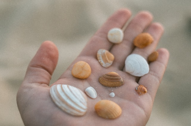 photo from https://unsplash.com/@johannaschrag 