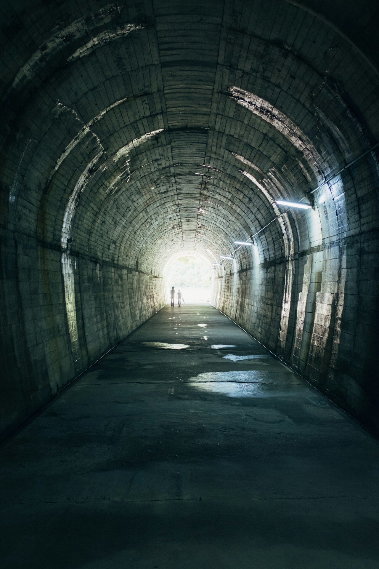 Give a shoutout to Yohei Shimomae on unsplash.com